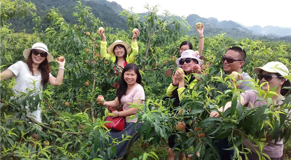点击放大
