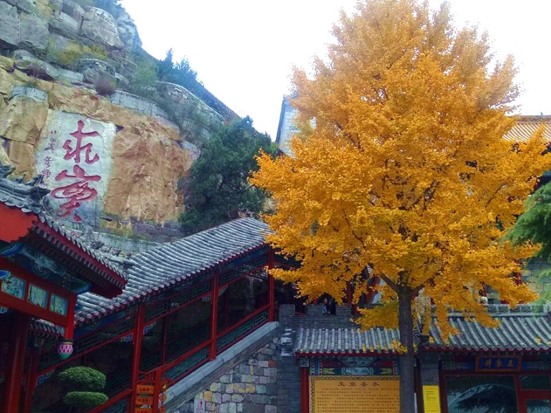 登录查看大图